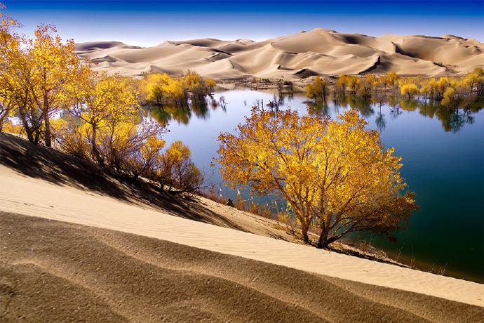 新疆技能学习指南,从入门到进阶的实用指南