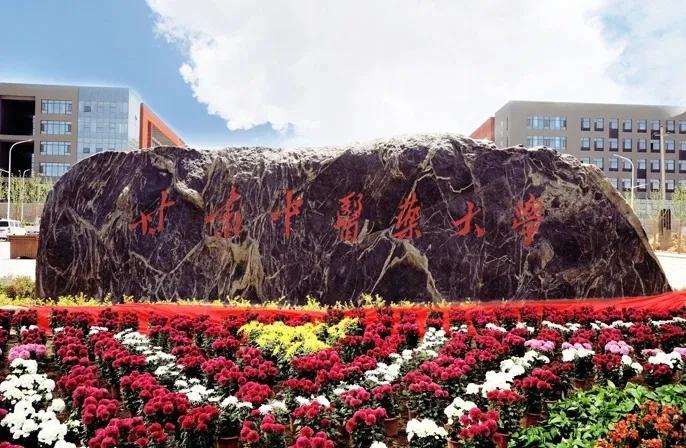 甘肃致敬，领导与朋友们共襄盛举