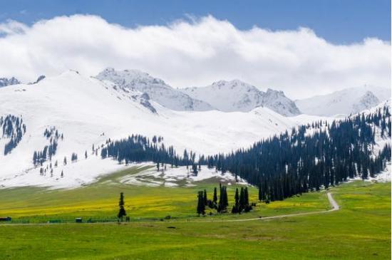 呼伦贝尔科技新品璀璨亮相，引领生活新纪元