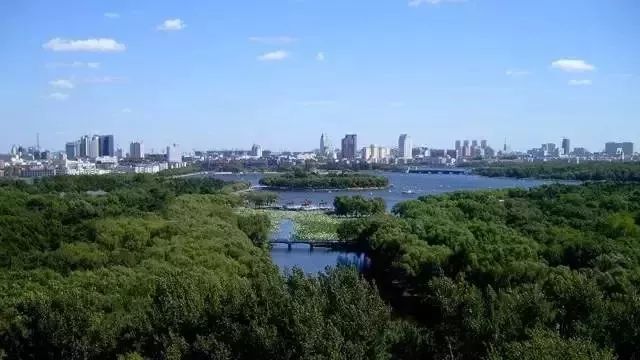 长春,友情与家的温馨日常故事