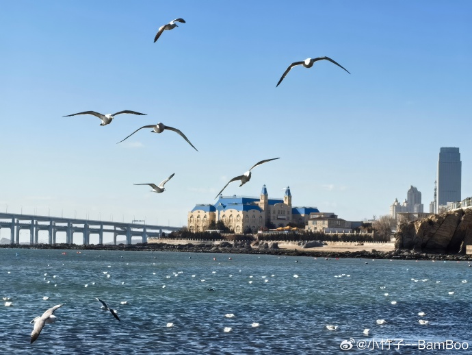 探寻大连，海滨明珠的传奇足迹